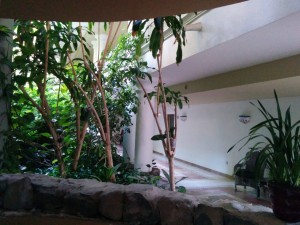 ground-floor1