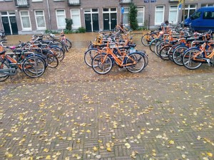 IMG_20141115_083635