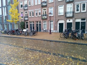 IMG_20141115_083651