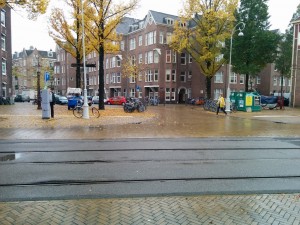 IMG_20141115_092727