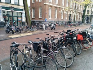 IMG_20141115_105925